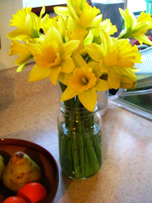 I splurged $3 on myself at the first sign of spring: daffodils.